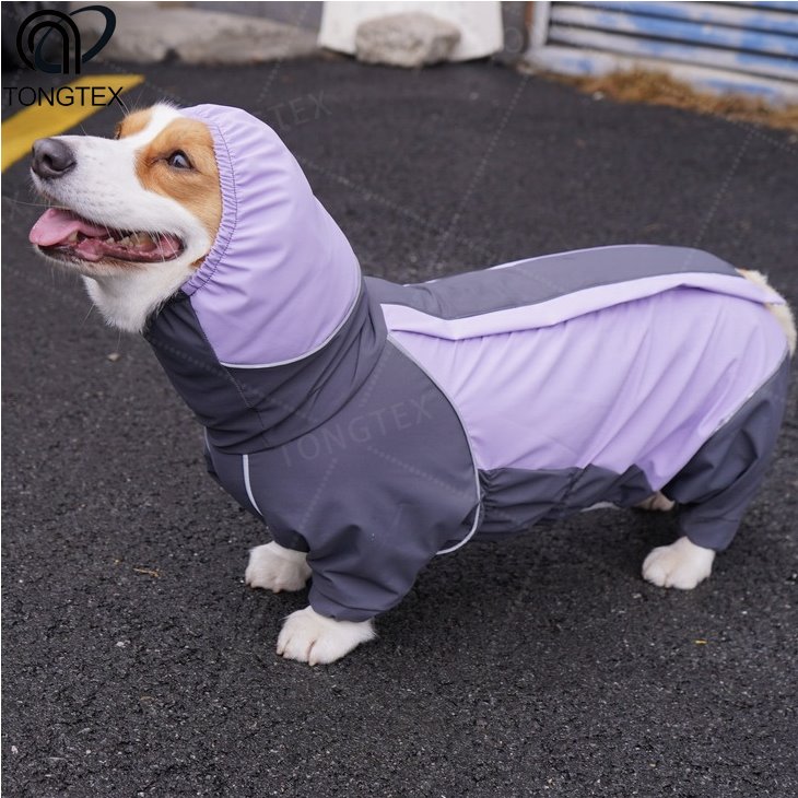 Dog Athletic Sweatshirt